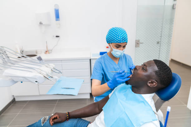 Best Emergency X-Rays and Diagnostics in Concord, VA